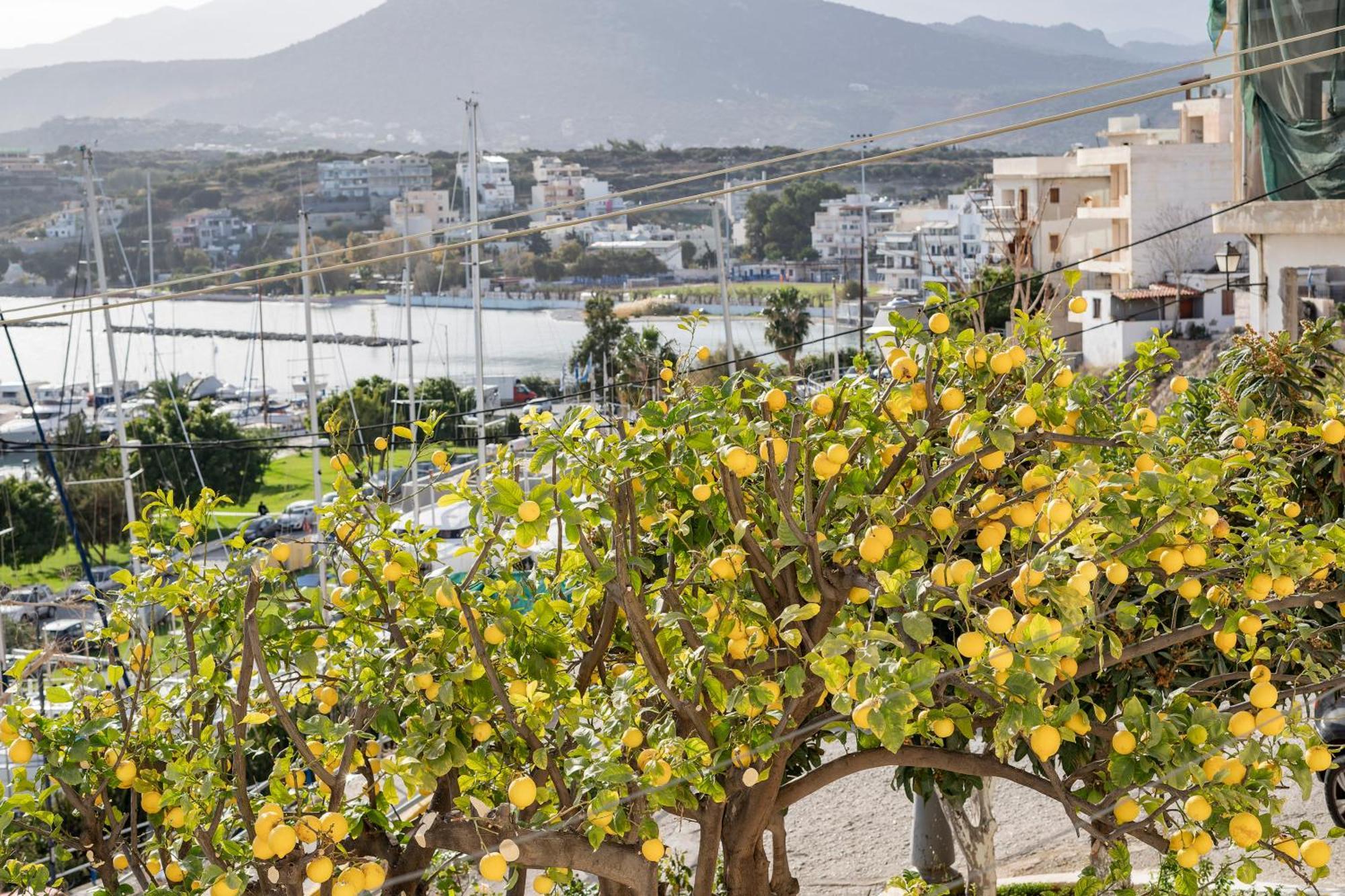 Jelena Apartments By The Sea Ágios Nikolaos Exterior foto